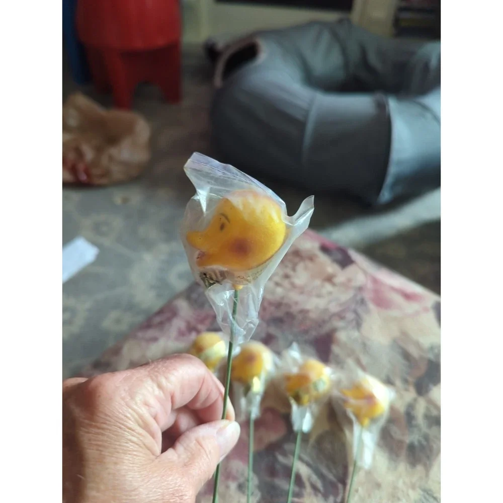 5 Vintage Flocked Ducks 1960s Hong Kong Party Favors Floral Picks Kitchy